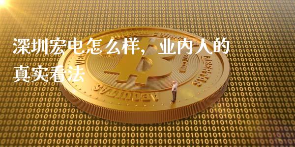 深圳宏电怎么样，业内人的真实看法_https://m.ycdhulan.com_期货交易_第1张