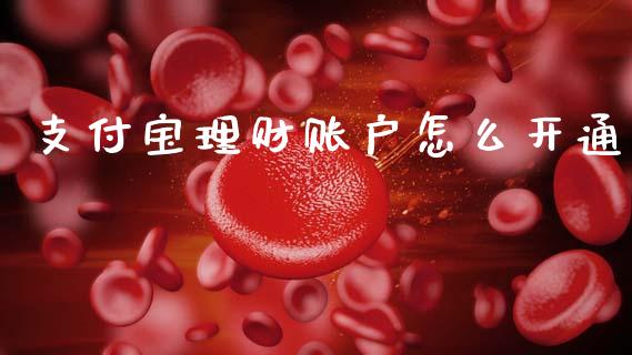支付宝理财账户怎么开通_https://m.ycdhulan.com_国际金融_第1张