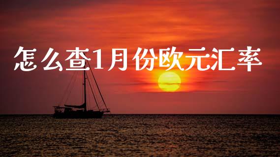 怎么查1月份欧元汇率_https://m.ycdhulan.com_财经要闻_第1张
