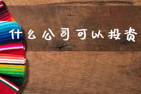 什么公司可以投资_https://m.ycdhulan.com_国际金融_第1张