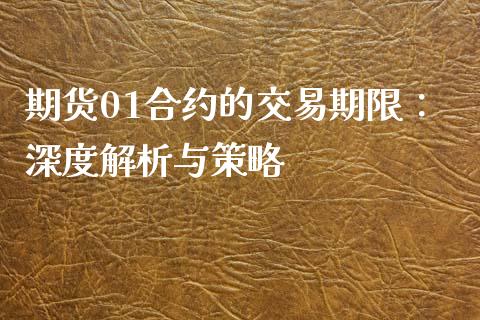 期货01合约的交易期限：深度解析与策略_https://m.ycdhulan.com_证券新闻_第1张