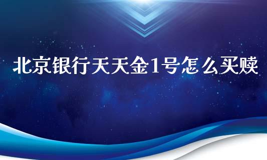 北京银行天天金1号怎么买赎_https://m.ycdhulan.com_股市在线_第1张