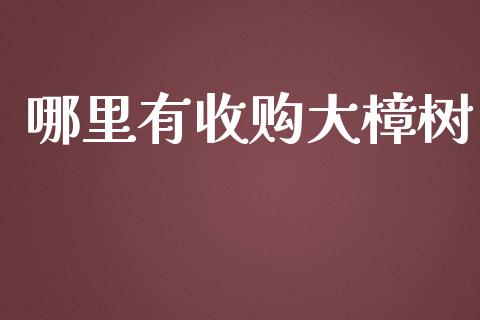 哪里有收购大樟树_https://m.ycdhulan.com_股市在线_第1张