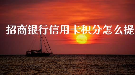 招商银行信用卡积分怎么提_https://m.ycdhulan.com_财经要闻_第1张
