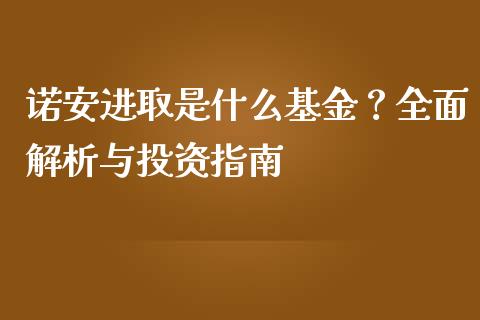 诺安进取是什么基金？全面解析与投资指南_https://m.ycdhulan.com_理财产品_第1张