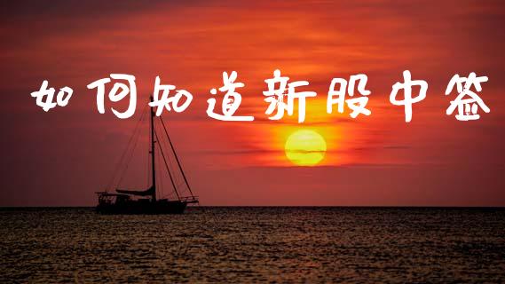 如何知道新股中签_https://m.ycdhulan.com_财经要闻_第1张