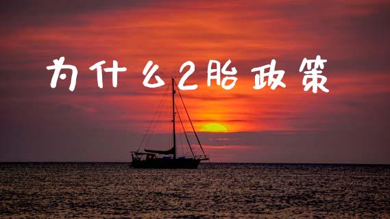 为什么2胎政策_https://m.ycdhulan.com_财经要闻_第1张