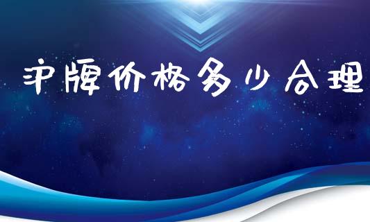 沪牌价格多少合理_https://m.ycdhulan.com_证券新闻_第1张