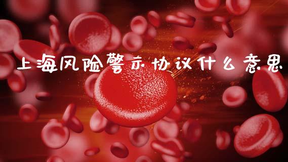 上海风险警示协议什么意思_https://m.ycdhulan.com_股市在线_第1张