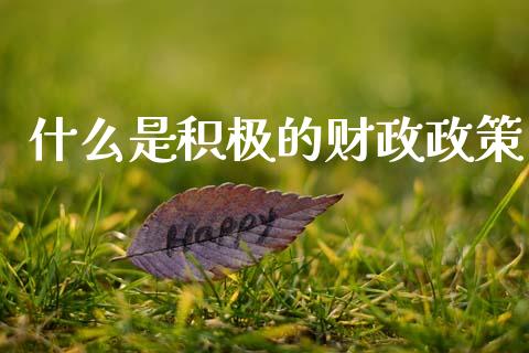 什么是积极的财政政策_https://m.ycdhulan.com_财经要闻_第1张