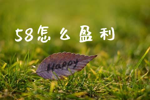58怎么盈利_https://m.ycdhulan.com_股市在线_第1张
