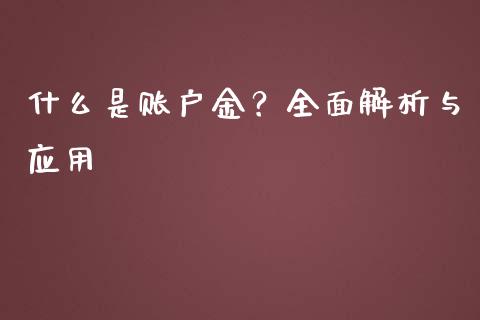 什么是账户金？全面解析与应用_https://m.ycdhulan.com_股市在线_第1张