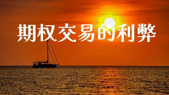 期权交易的利弊_https://m.ycdhulan.com_期货交易_第1张