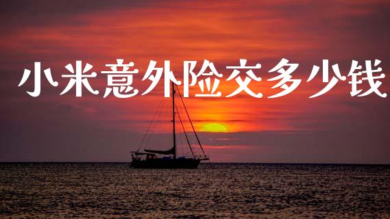 小米意外险交多少钱_https://m.ycdhulan.com_期货交易_第1张