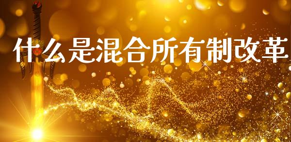什么是混合所有制改革_https://m.ycdhulan.com_期货交易_第1张