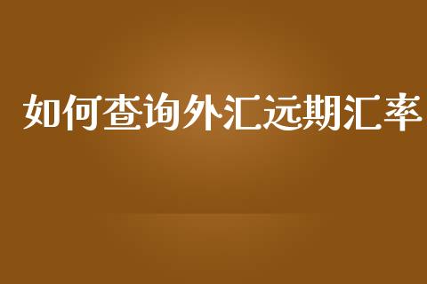 如何查询外汇远期汇率_https://m.ycdhulan.com_财经要闻_第1张