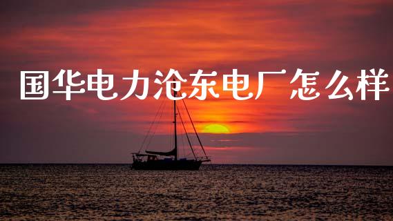 国华电力沧东电厂怎么样_https://m.ycdhulan.com_期货交易_第1张