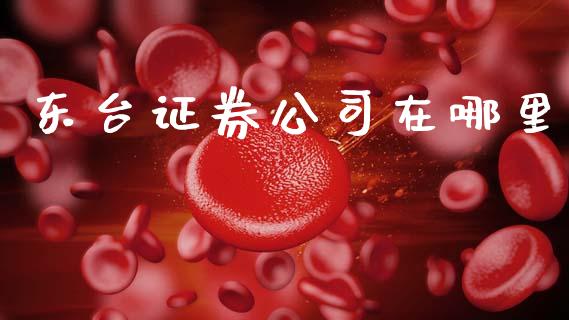 东台证券公司在哪里_https://m.ycdhulan.com_理财产品_第1张
