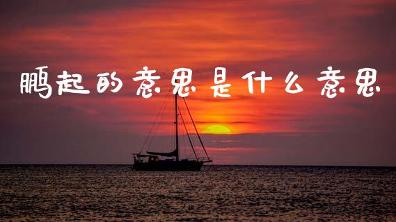 鹏起的意思是什么意思_https://m.ycdhulan.com_理财产品_第1张