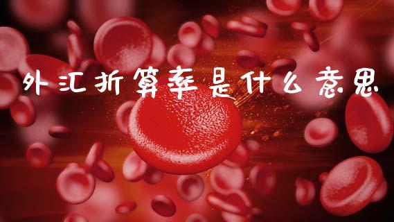 外汇折算率是什么意思_https://m.ycdhulan.com_国际金融_第1张