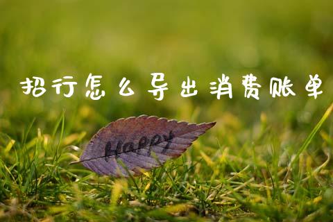 招行怎么导出消费账单_https://m.ycdhulan.com_股市在线_第1张
