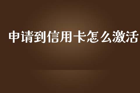 申请到信用卡怎么激活_https://m.ycdhulan.com_财经要闻_第1张