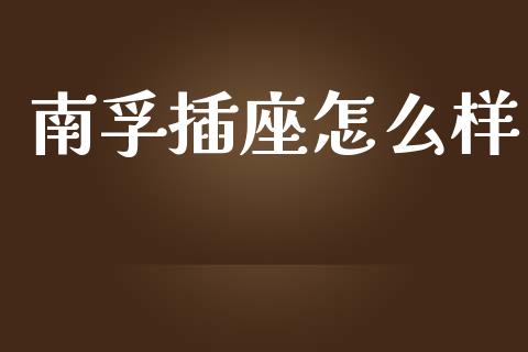 南孚插座怎么样_https://m.ycdhulan.com_财经要闻_第1张