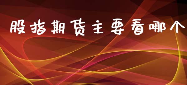股指期货主要看哪个_https://m.ycdhulan.com_国际金融_第1张