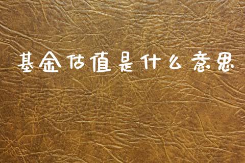 基金估值是什么意思_https://m.ycdhulan.com_理财产品_第1张