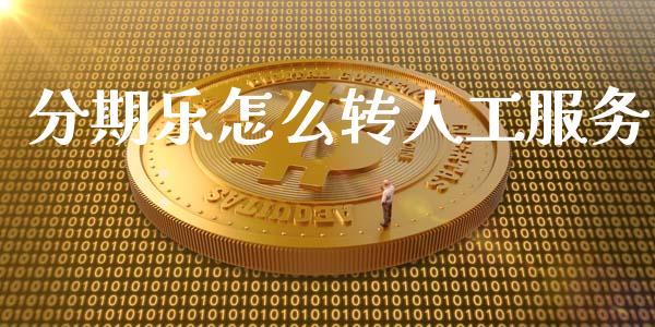 分期乐怎么转人工服务_https://m.ycdhulan.com_财经要闻_第1张