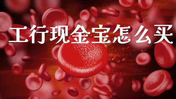 工行现金宝怎么买_https://m.ycdhulan.com_理财产品_第1张