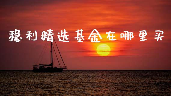 稳利精选基金在哪里买_https://m.ycdhulan.com_财经要闻_第1张