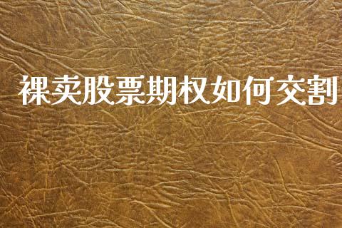 裸卖股票期权如何交割_https://m.ycdhulan.com_股市在线_第1张