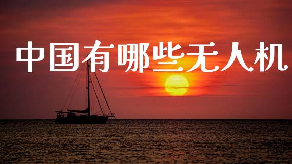 中国有哪些无人机_https://m.ycdhulan.com_期货交易_第1张