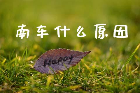 南车什么原因_https://m.ycdhulan.com_财经要闻_第1张