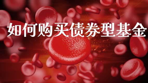 如何购买债券型基金_https://m.ycdhulan.com_股市在线_第1张