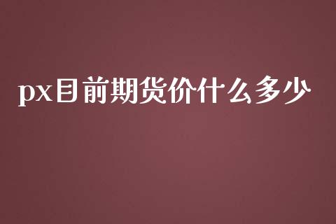 px目前期货价什么多少_https://m.ycdhulan.com_理财产品_第1张