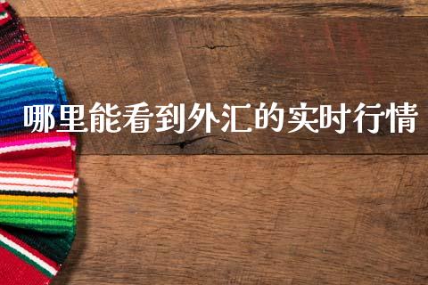 哪里能看到外汇的实时行情_https://m.ycdhulan.com_财经要闻_第1张
