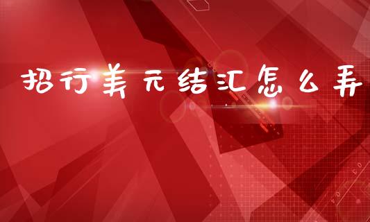 招行美元结汇怎么弄_https://m.ycdhulan.com_国际金融_第1张