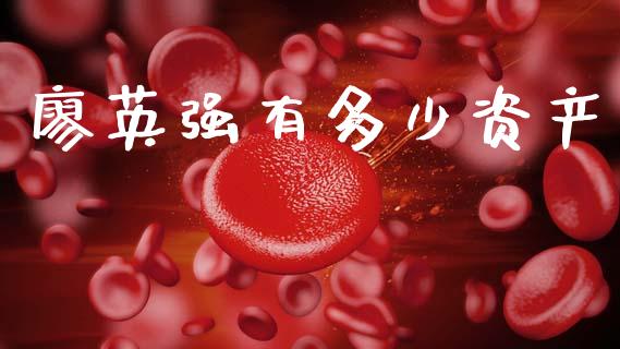 廖英强有多少资产_https://m.ycdhulan.com_财经要闻_第1张