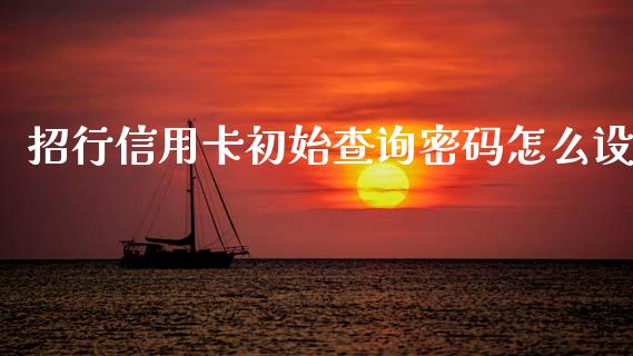 招行信用卡初始查询密码怎么设_https://m.ycdhulan.com_期货交易_第1张