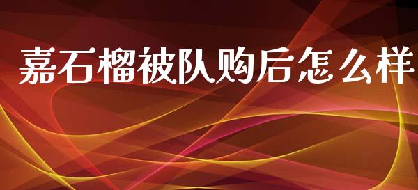 嘉石榴被队购后怎么样_https://m.ycdhulan.com_财经要闻_第1张