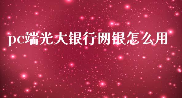 pc端光大银行网银怎么用_https://m.ycdhulan.com_财经要闻_第1张