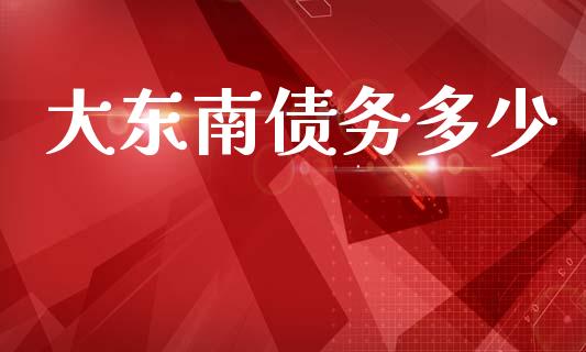 大东南债务多少_https://m.ycdhulan.com_证券新闻_第1张