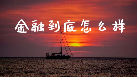 金融到底怎么样_https://m.ycdhulan.com_理财产品_第1张
