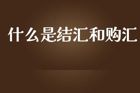 什么是结汇和购汇_https://m.ycdhulan.com_理财产品_第1张
