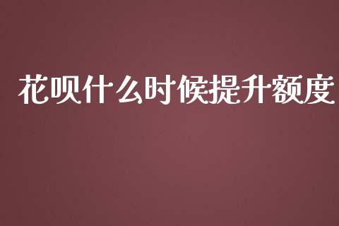 花呗什么时候提升额度_https://m.ycdhulan.com_理财产品_第1张