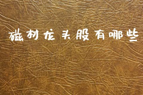 磁材龙头股有哪些_https://m.ycdhulan.com_期货交易_第1张