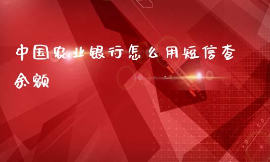 中国农业银行怎么用短信查余额_https://m.ycdhulan.com_国际金融_第1张