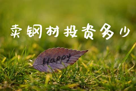 卖钢材投资多少_https://m.ycdhulan.com_财经要闻_第1张